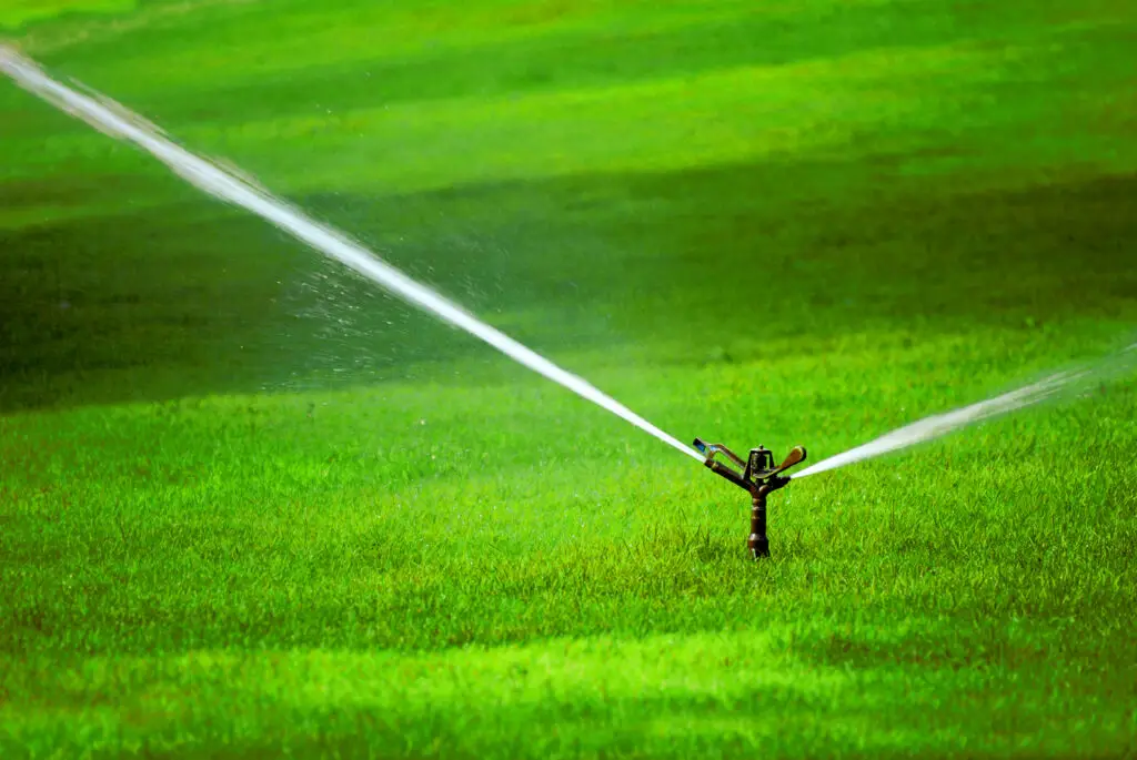 Sprinklers/Irrigation