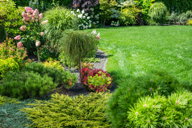 Landscaping