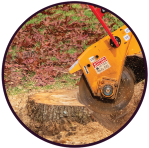 Stump Grinding Service