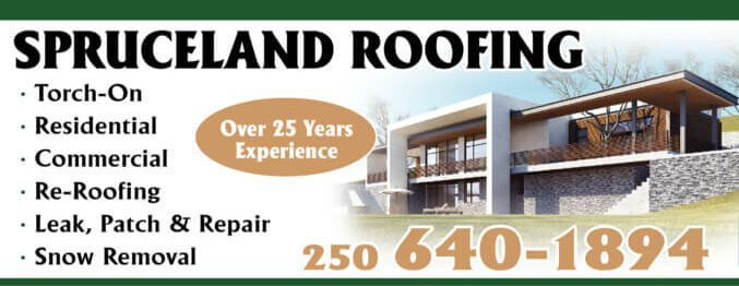 Roofing professionals working together to build a new roof