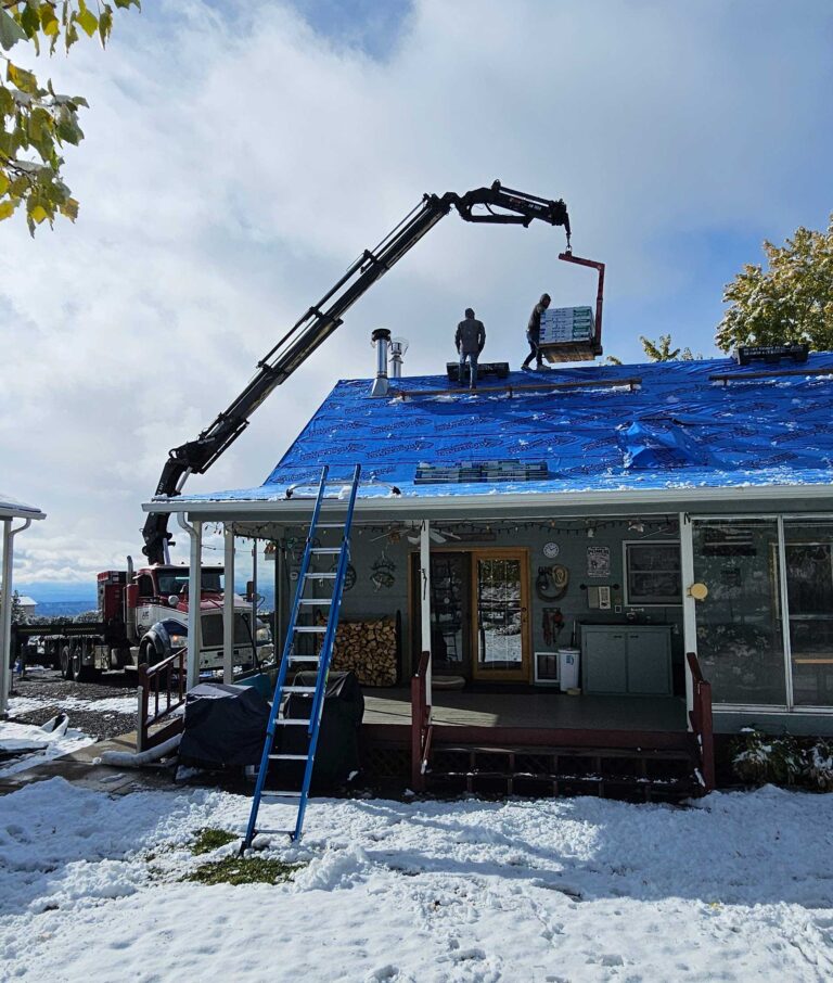 20241106_135526-resize