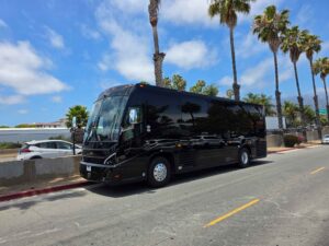 luxury party bus, up to 40 passengers,