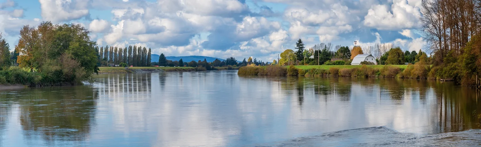 Serving Skagit & Island County Washington