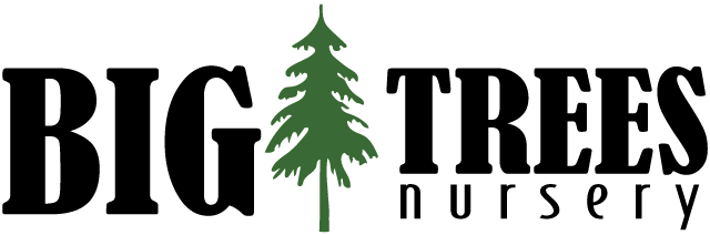Big Trees Nursery Logo