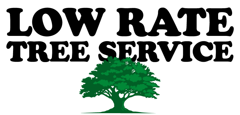 Low Rate Tree Service