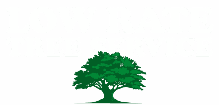 Low Rate Tree Service