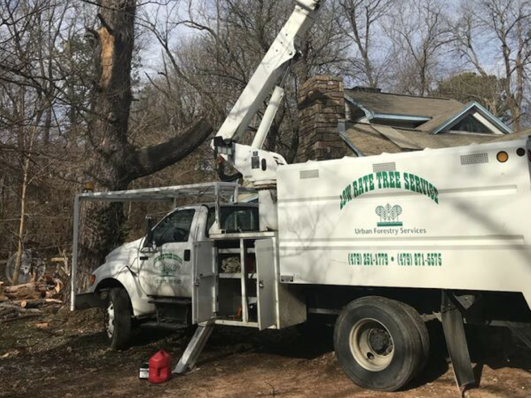 Low Rate Tree Services truck