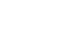 white Favicon