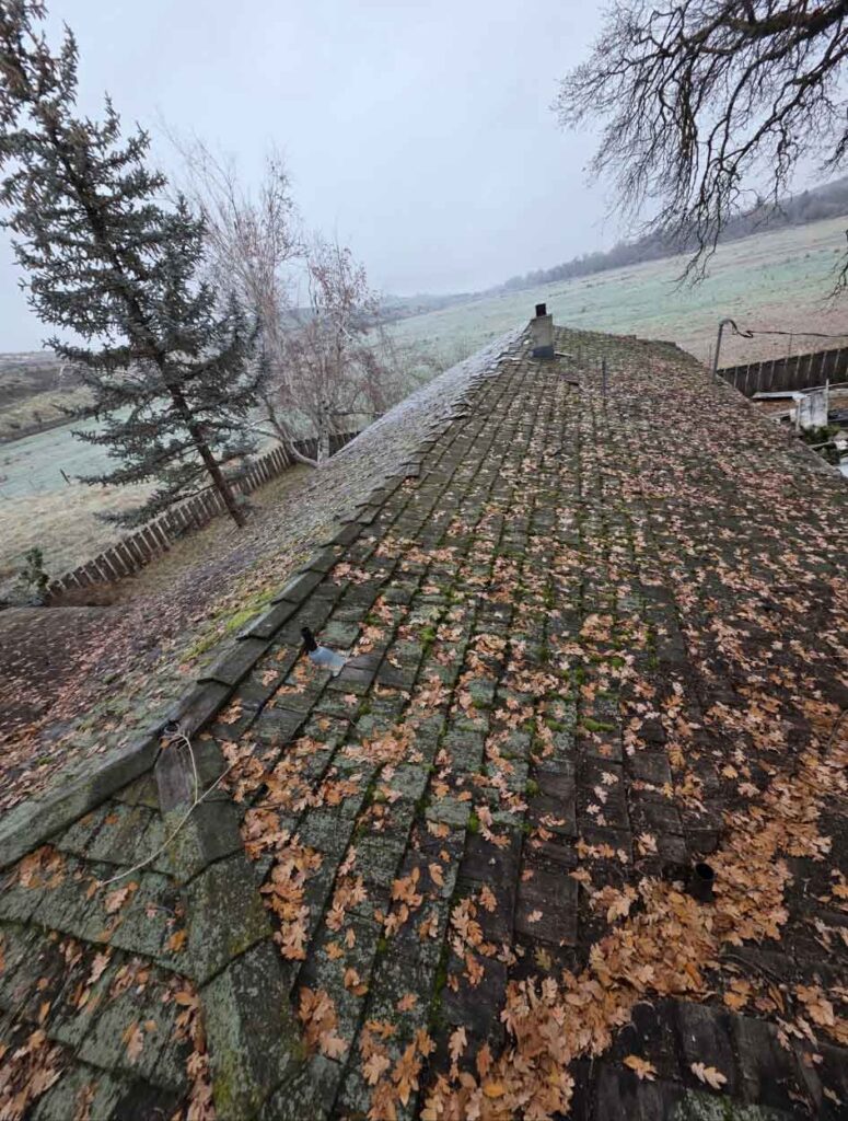 A+ Quality Construction services on a residential roof with fallen autumn leaves and surrounding countryside