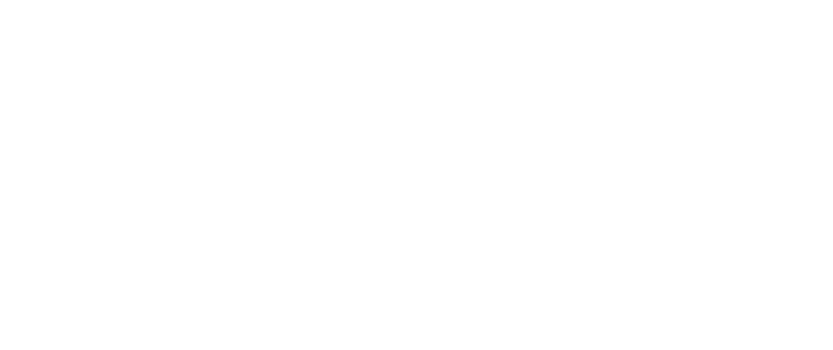 Affordable Plumbing & Electric Inc White Logo