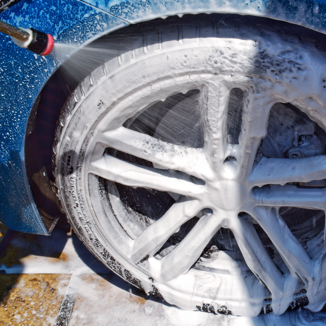 shutterstock_1024776085