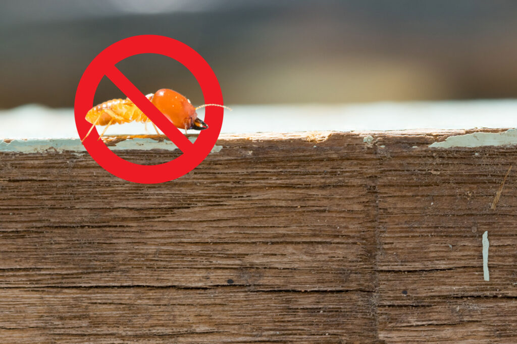 Shutterstock 1048924571