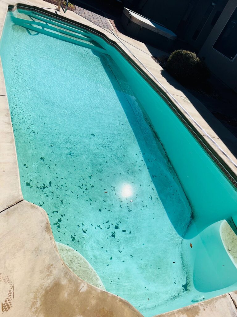 before cleaning, dirty swimming pool