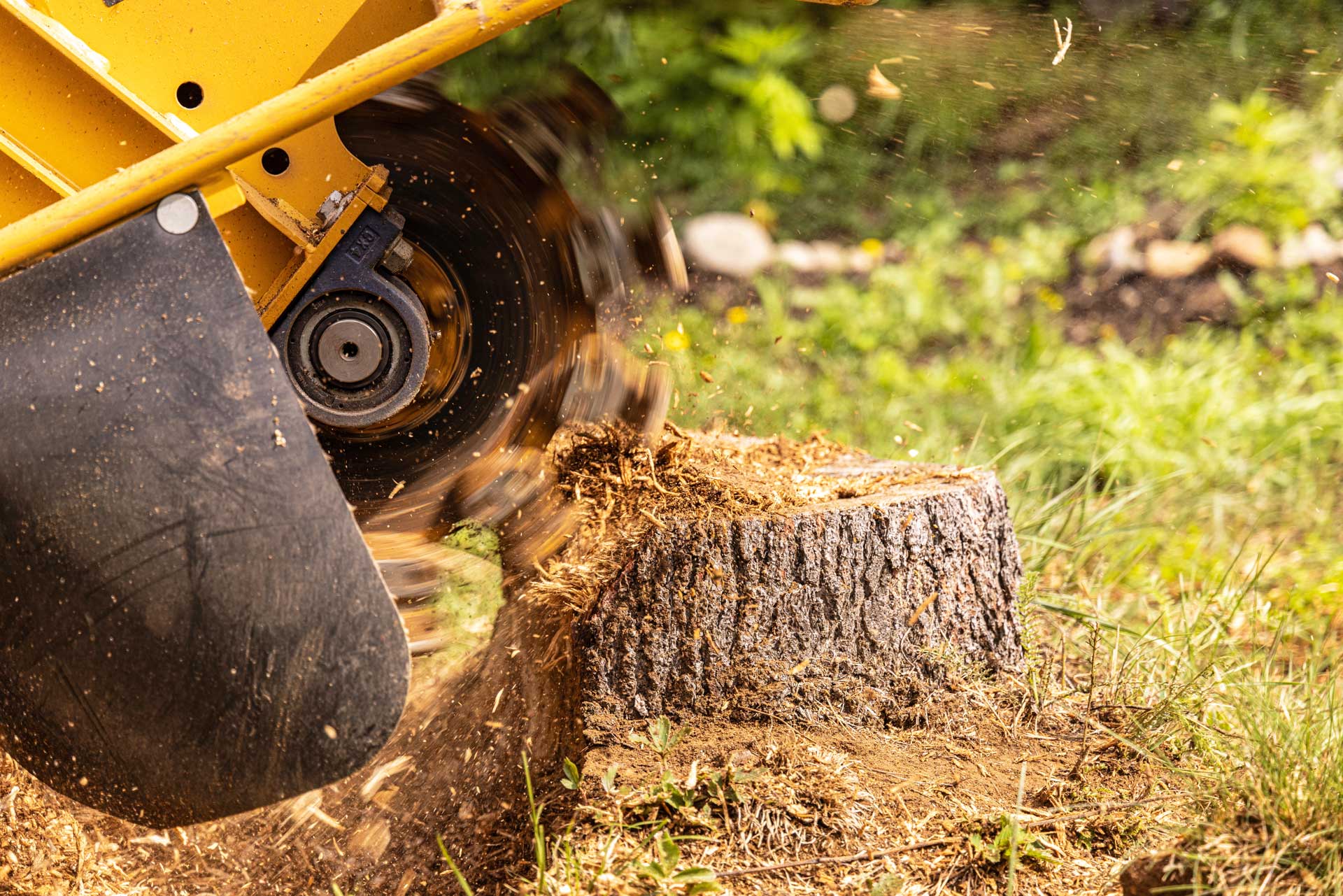 stump grinding