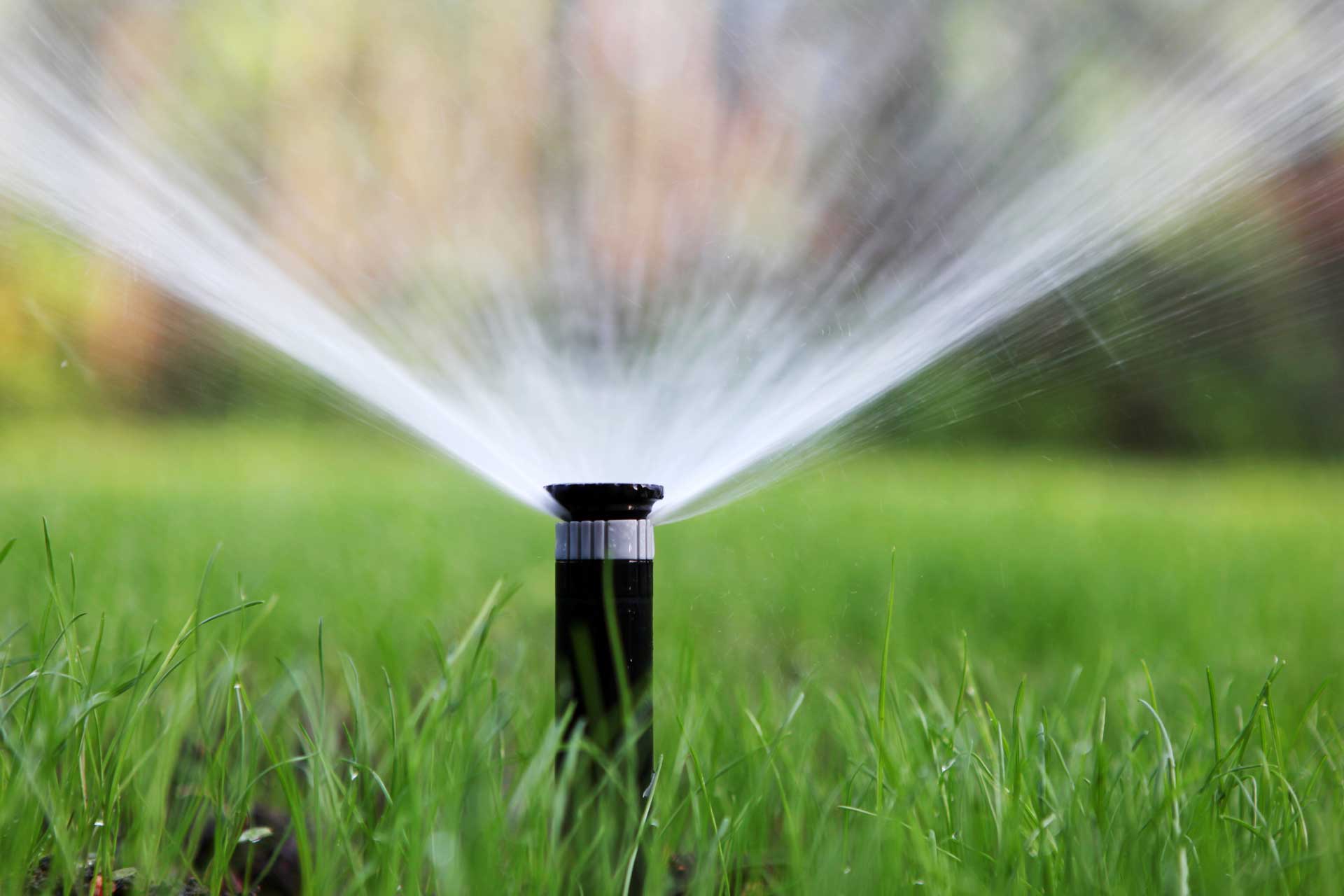 sprinkler shooting water on grass