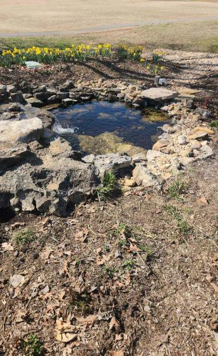 Waterfall and pond - water feature