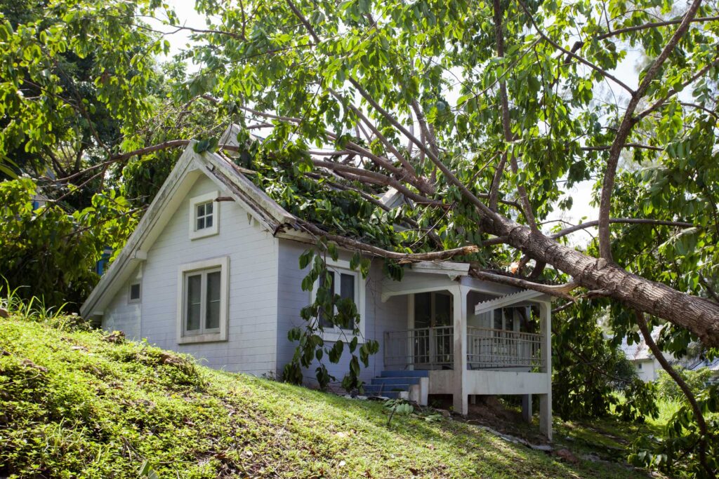 JN Roofing service image showing a house with a damaged roof and fallen tree branches