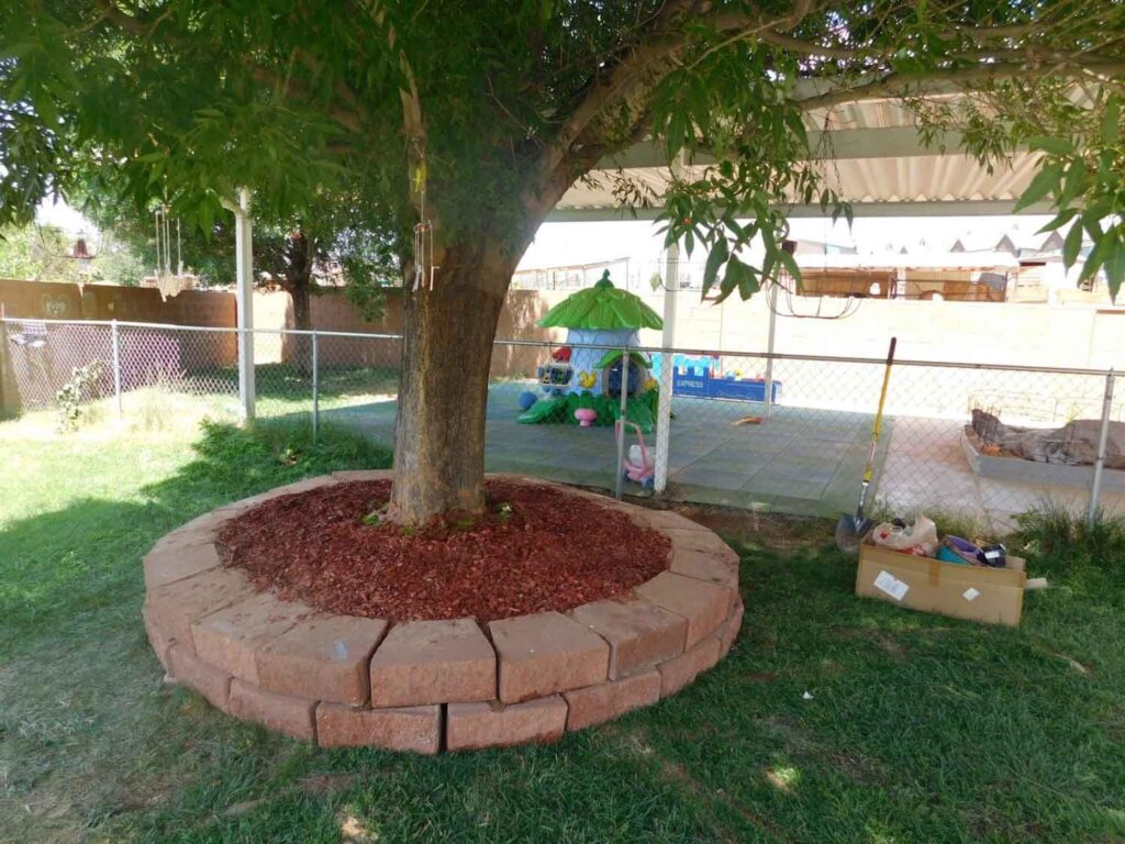 Country Kids Children's Center outdoor playground with play area under a tree