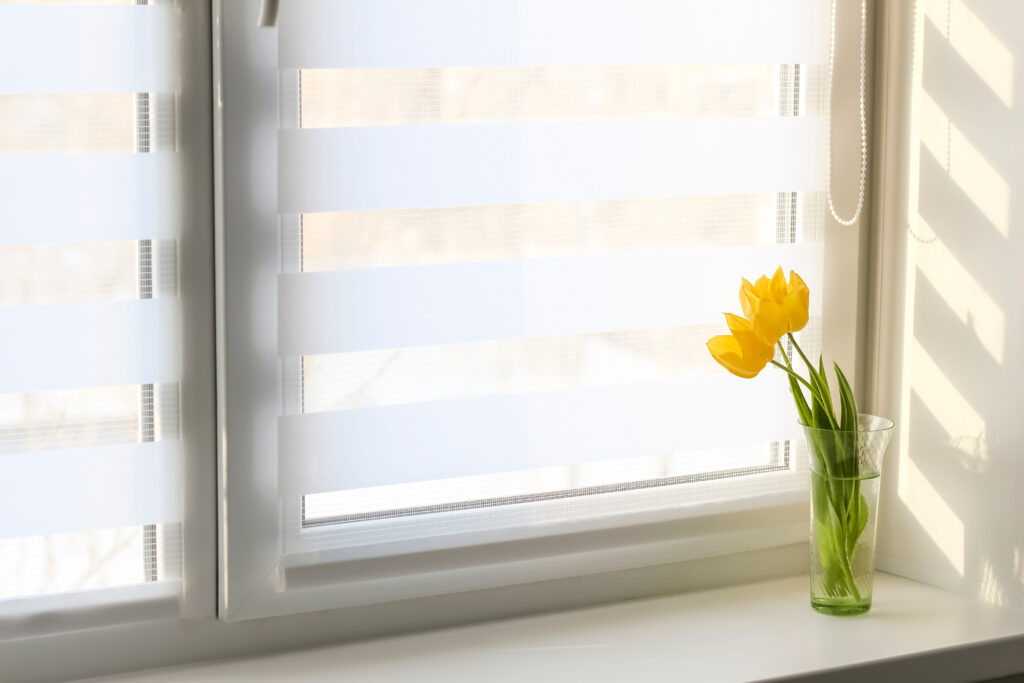 Window Blinds