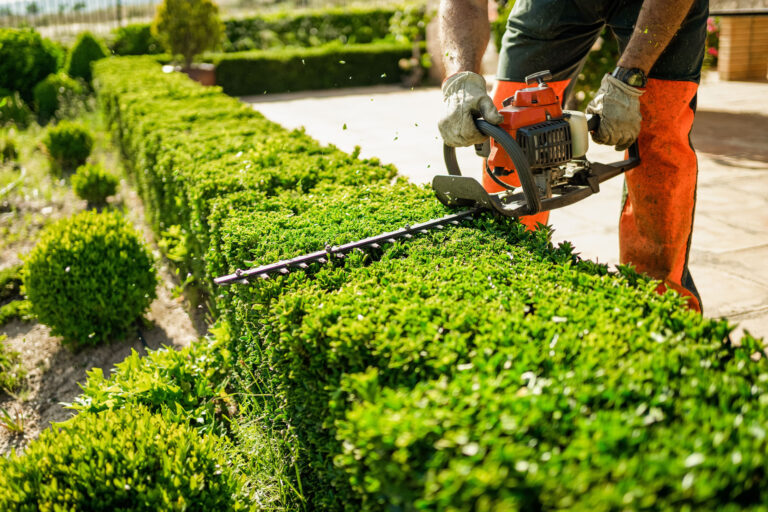 Hedge-trimmer
