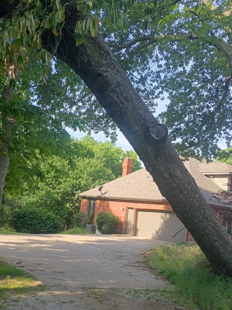 Southwest Missouri Tree Service working near a large leaning tree over a home and driveway