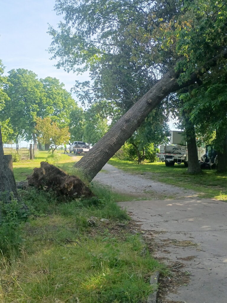 Southwest Missouri Tree Service crew equipment near a fallen tree trunk and debris along a driveway