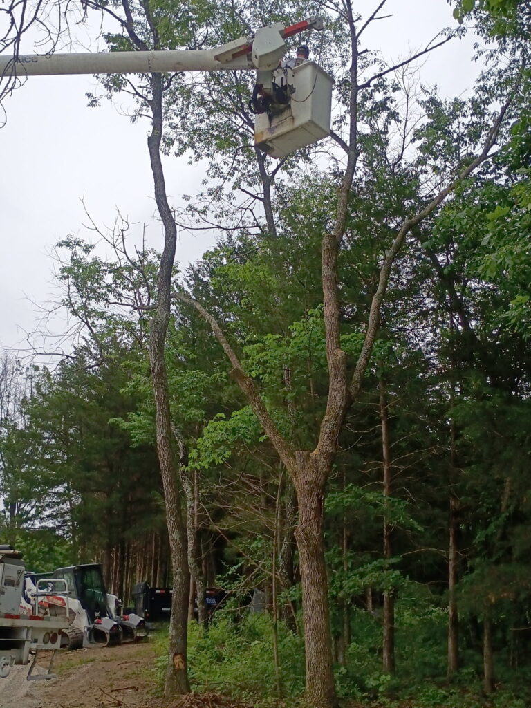 Southwest Missouri Tree Service crew using a bucket truck to trim and remove tree branches