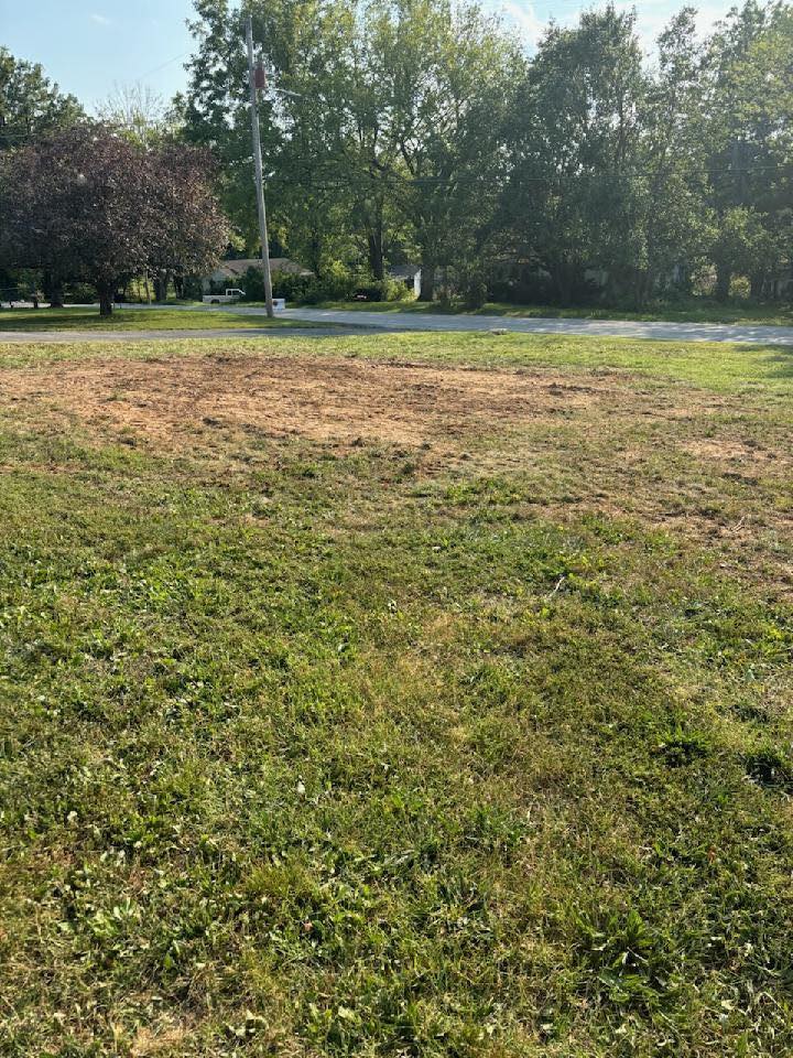 Southwest Missouri Tree Service lawn and trees along a quiet residential road