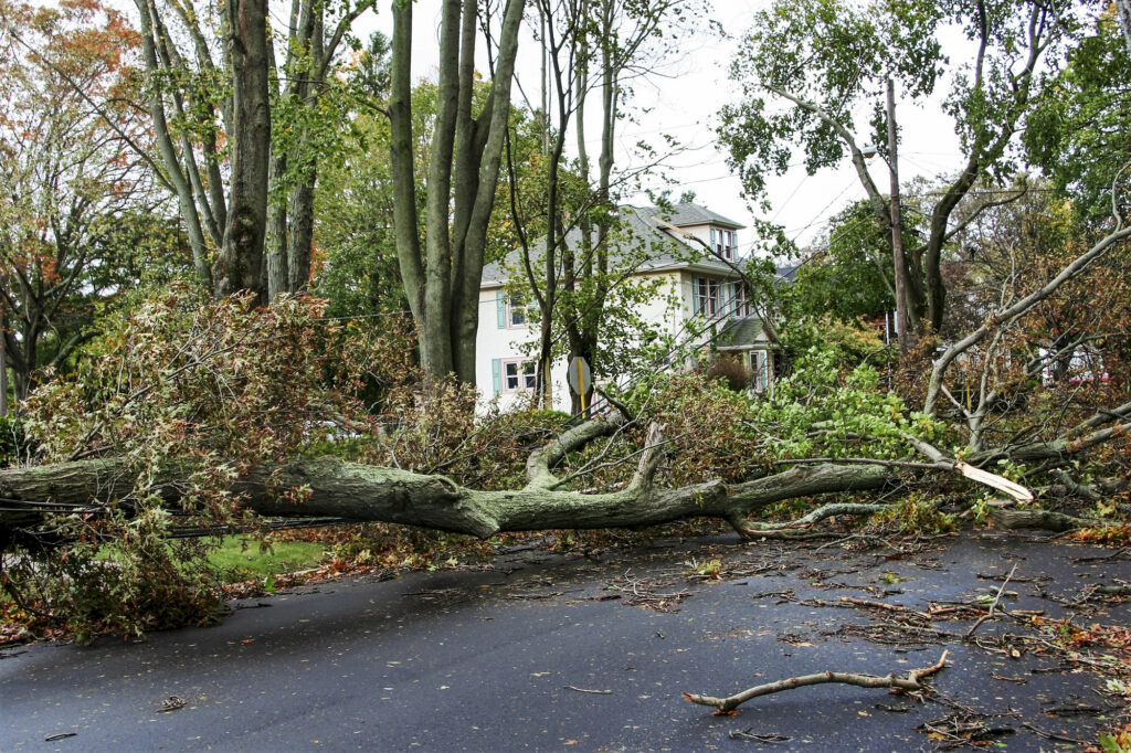 Fallen tree branches and debris after a storm near a home in Southwest Missouri, tree service cleanup