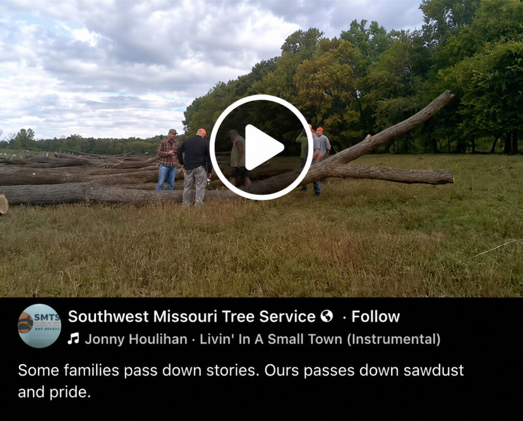 Southwest Missouri Tree Service crew cutting down a fallen tree log outdoors