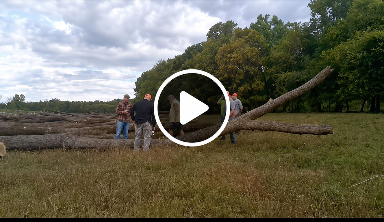Southwest Missouri Tree Service crew cutting down a fallen tree log outdoors