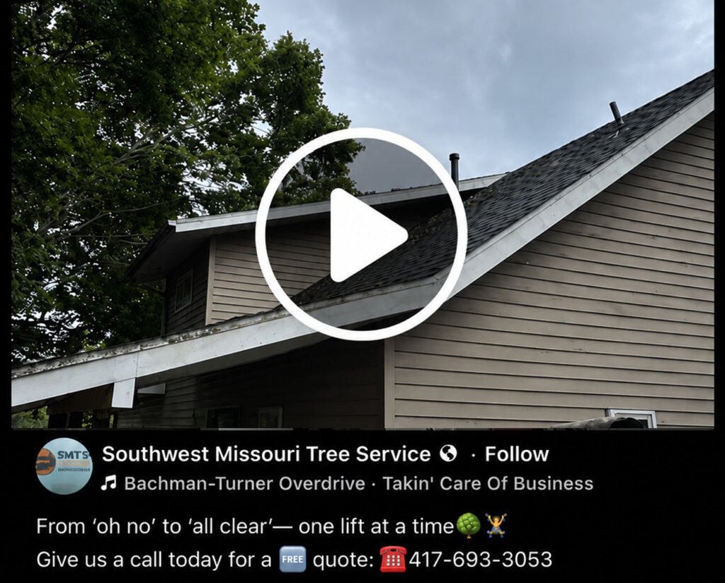 Southwest Missouri Tree Service image featuring a tree service promotional banner