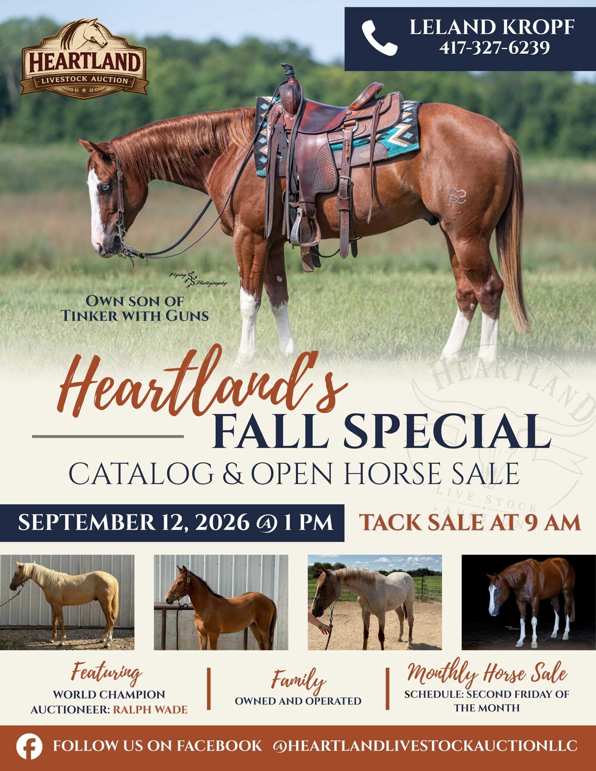 Heartland Livestock Auction LLC fall special catalog & open horse sale poster featuring a saddle horse