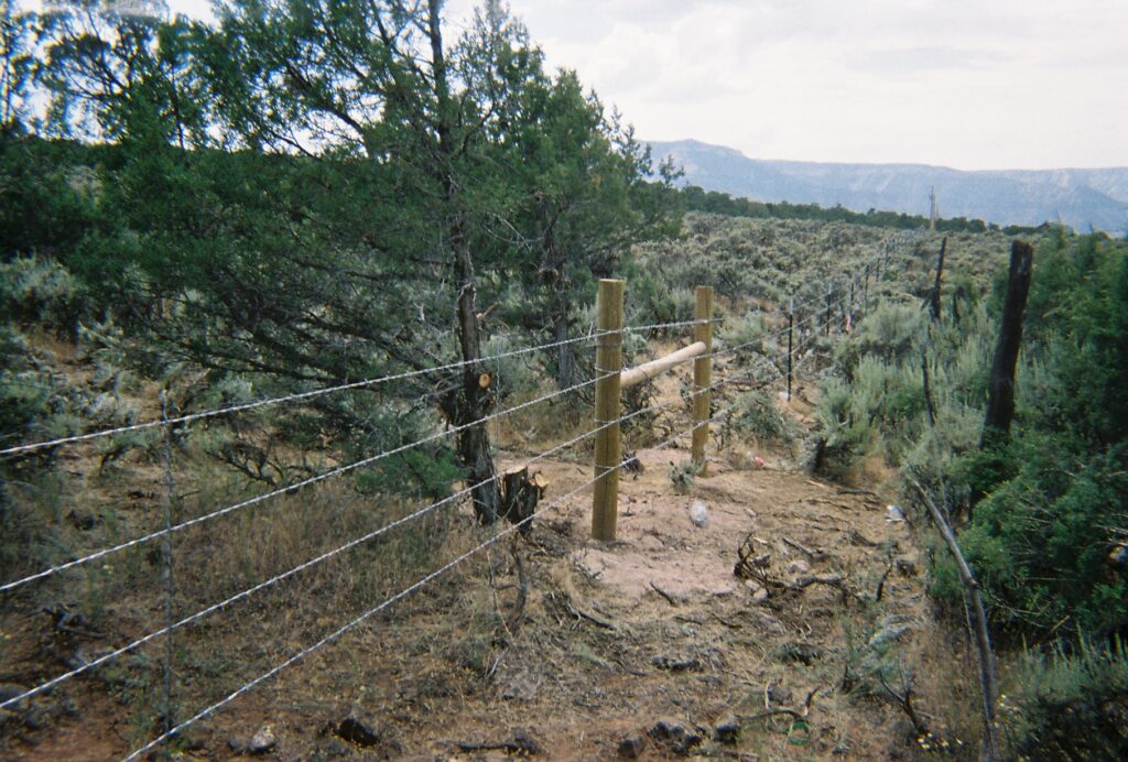 Fence line in a rural landscape with wire fencing posts and mountains
