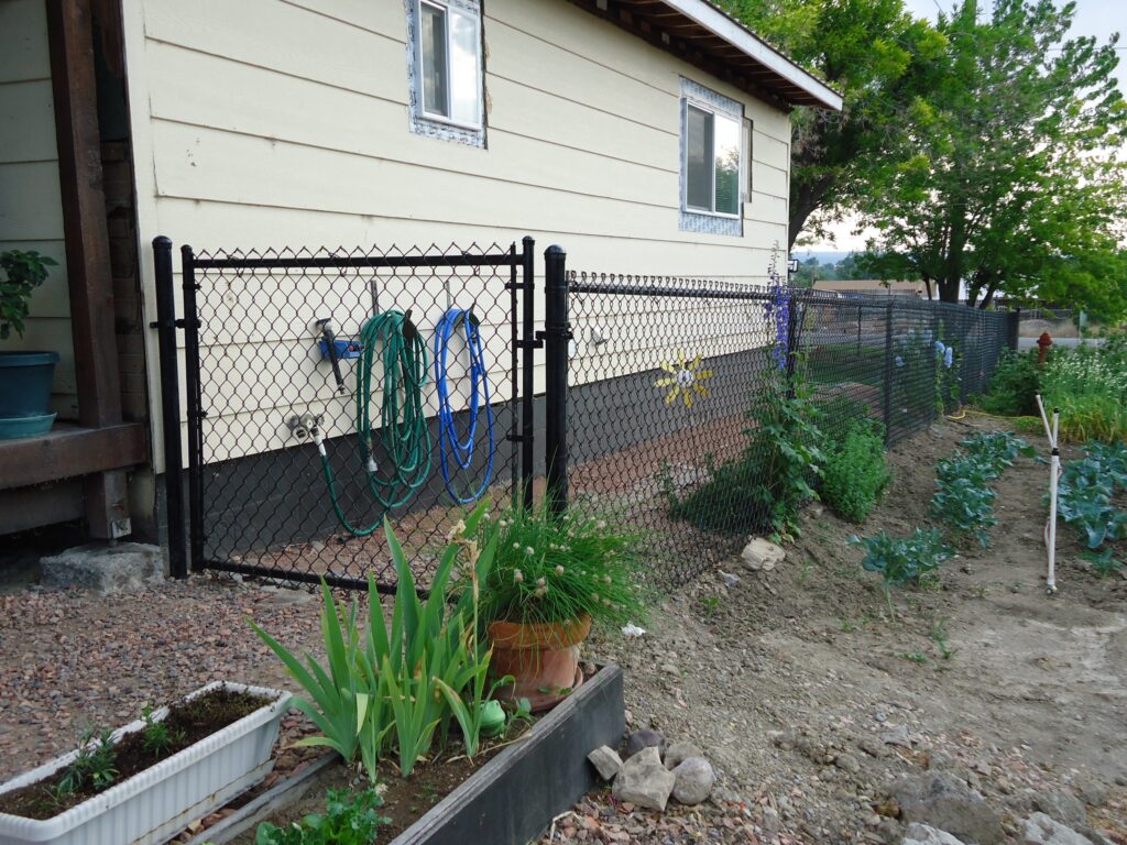 Alpine Fencing & Supplies Inc. backyard chain-link fence with gate and utility hoses
