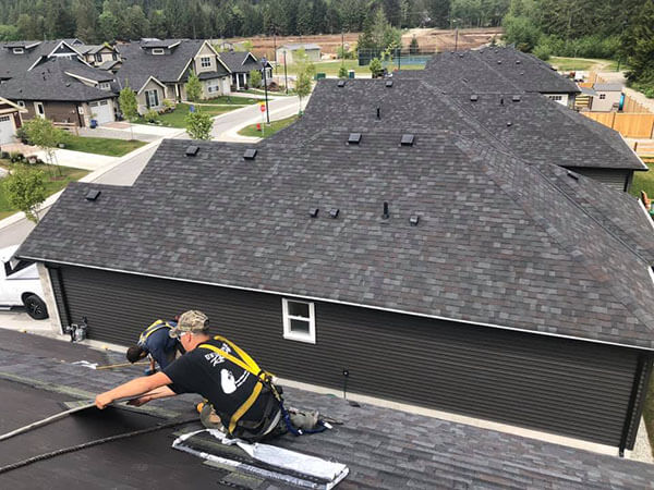 Undercover Roofing team installing a new roof