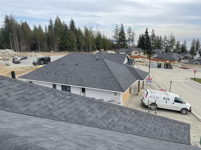 Roofing services and solutions from Undercover Roofing