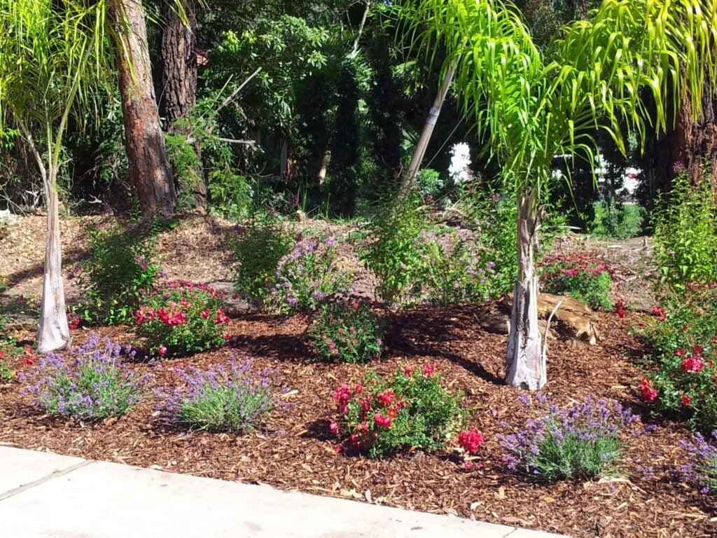 Casa Landscape Maintenance landscaped flower garden with trees, mulch, and colorful blooms