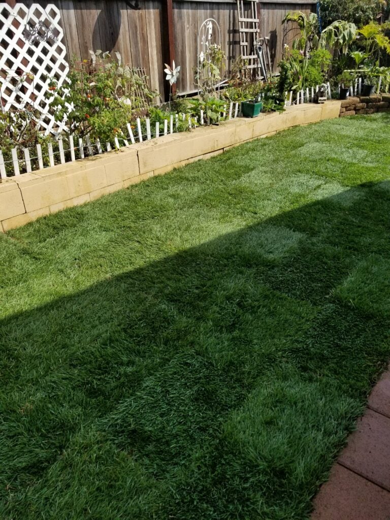 Casa Landscape Maintenance backyard with manicured green lawn, stone garden border, and planted vegetable garden beds
