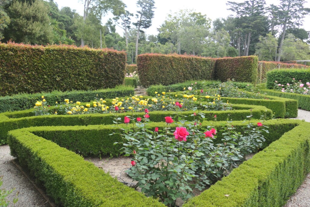 Casa Landscape Maintenance landscaped garden with manicured hedges, rose bushes, and blooming flowers