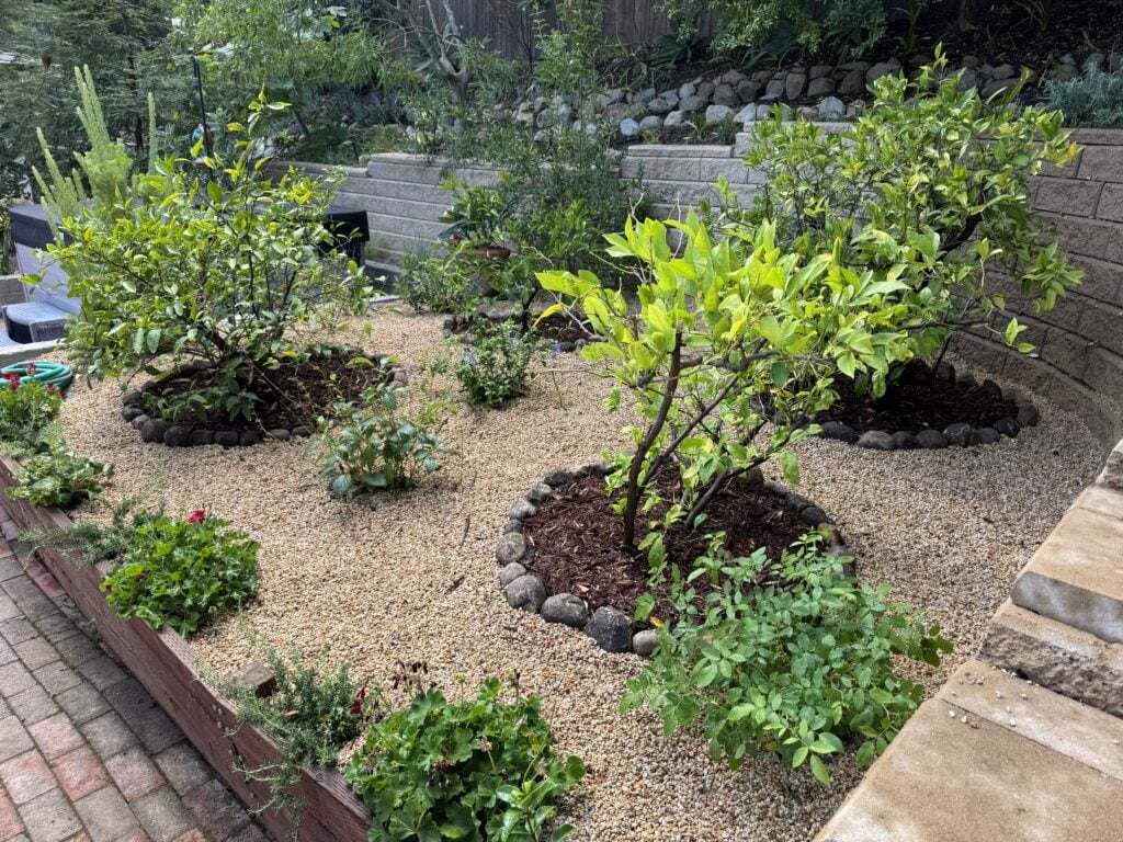 Casa Landscape Maintenance landscaped backyard garden with gravel paths, shrubs, and stone retaining wall