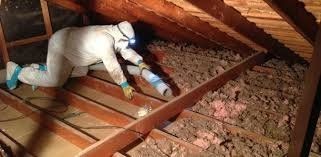 Insulation Removal