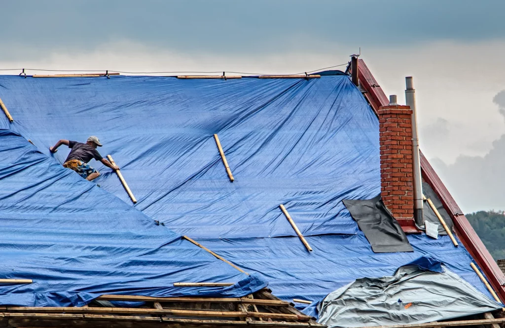 Roof Board Down