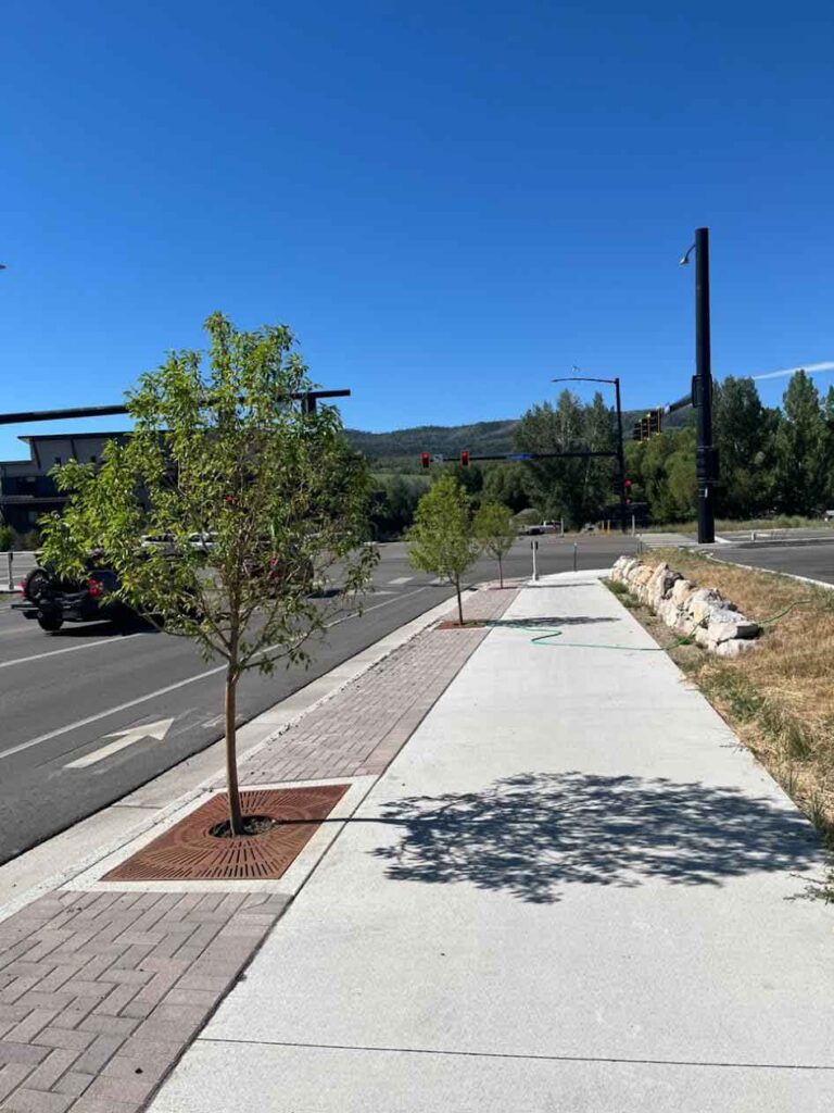 R K Hydro Seeding LLC landscaping sidewalk with young trees and clear blue sky