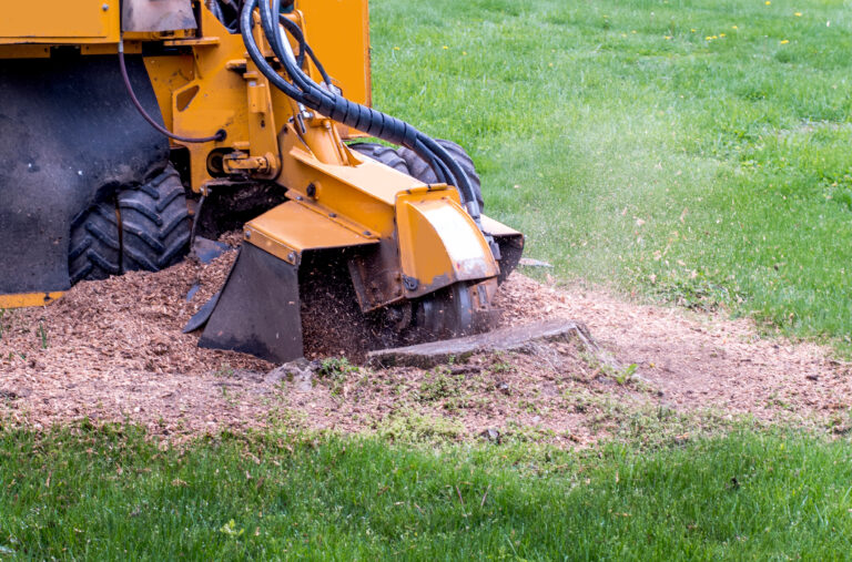 Using a Grinder to remove a stump