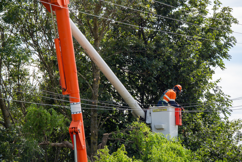 Clearing branches away from power lines in a Bucket
