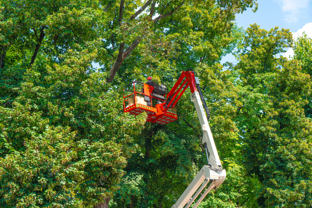 Bucket Tree Service