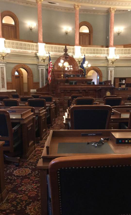 A photo of a llama wearing sunglasses and sitting on a couch, looking relaxed