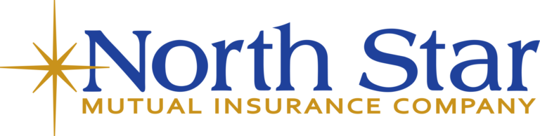NS logo