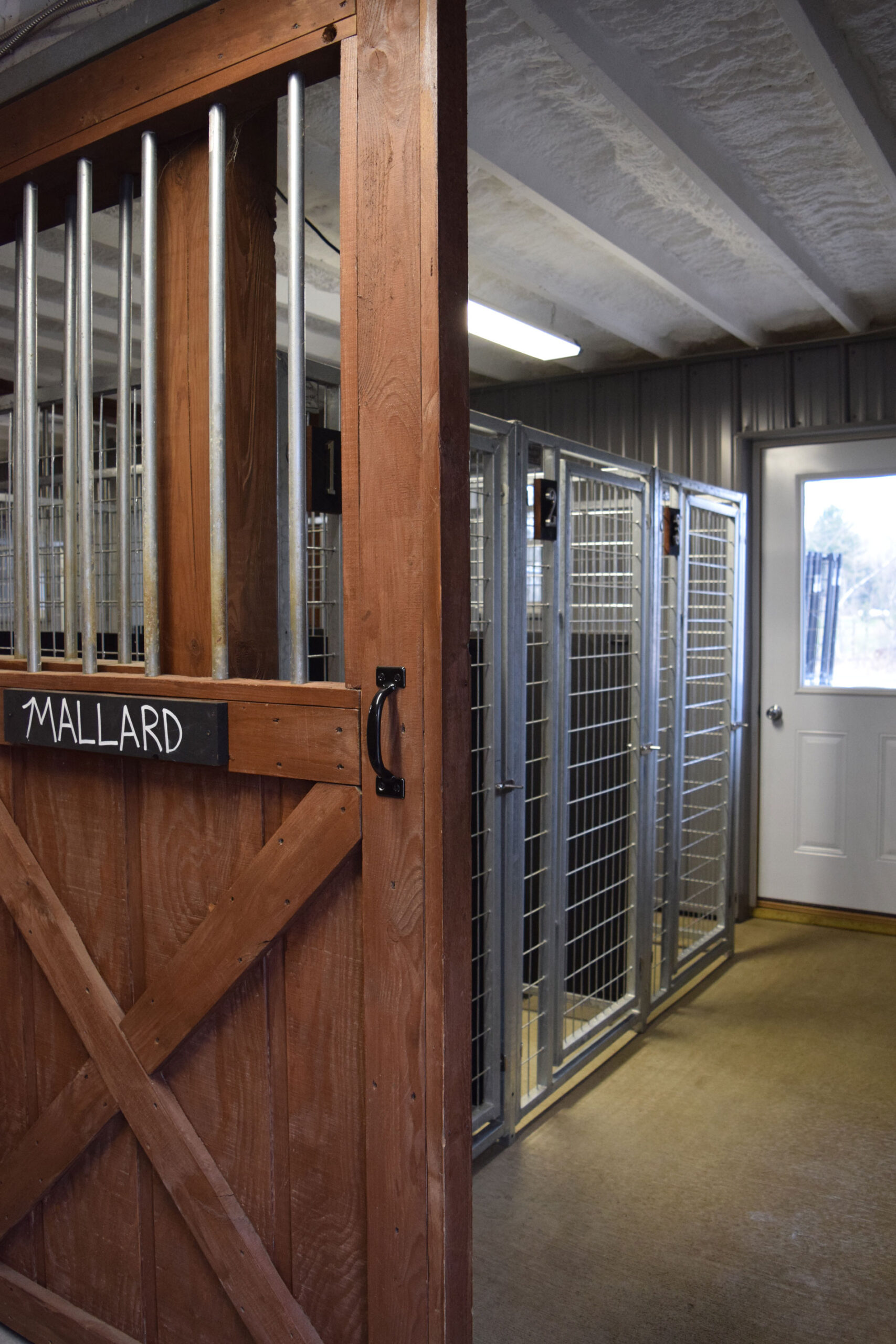 Boarding Eagle Fleece Kennels & Training